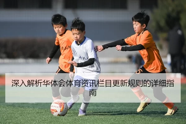 深入解析华体会体育资讯栏目更新规则的详细指南