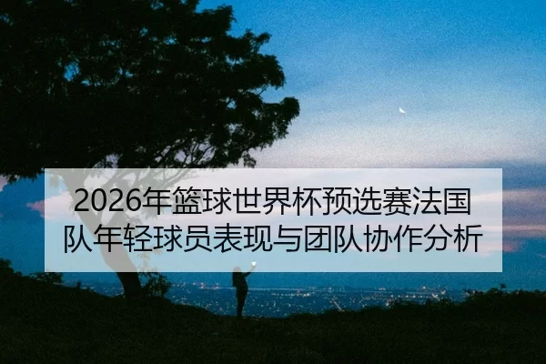 nian-lan-qiu-shi-jie-bei-yu-xuan-sai-fa-guo-dui-nian-qing-qiu-yuan-biao-xian-yu-tuan-dui-xie-zuo-fen-xi-2-813.jpg