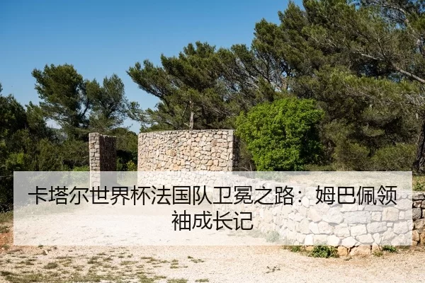 ka-ta-er-shi-jie-bei-fa-guo-dui-wei-mian-zhi-lu-mu-ba-pei-ling-xiu-cheng-zhang-ji-2-779.jpg