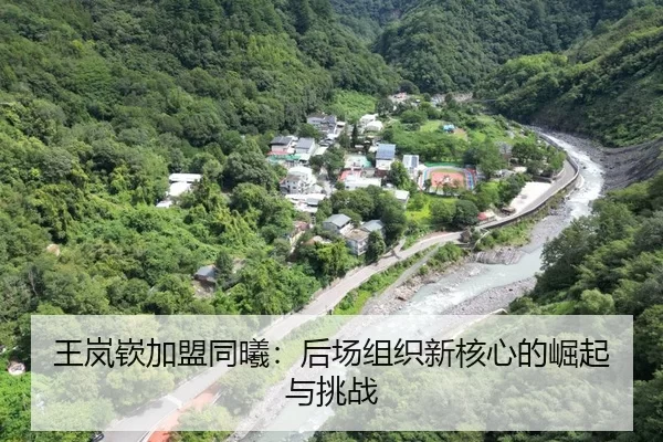 王岚嵚加盟同曦：后场组织新核心的崛起与挑战