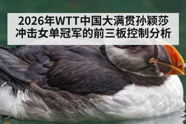 2026年WTT中国大满贯孙颖莎冲击女单冠军的前三板控制分析